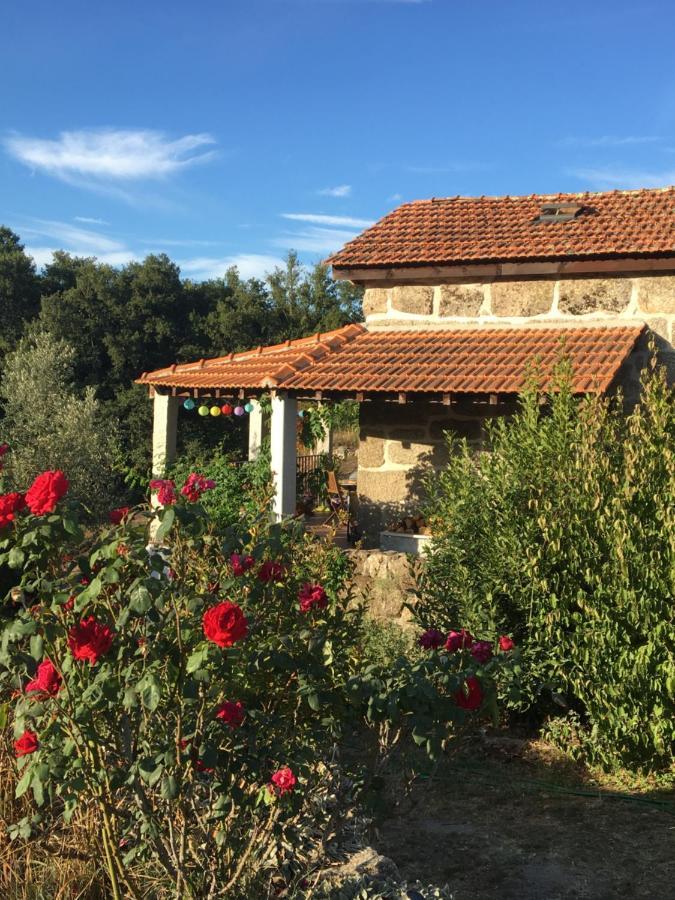 Quinta Do Cobral Villa Oliveira do Hospital Eksteriør bilde