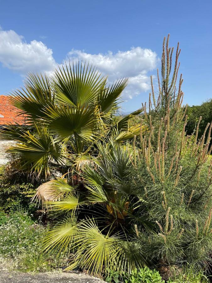 Quinta Do Cobral Villa Oliveira do Hospital Eksteriør bilde