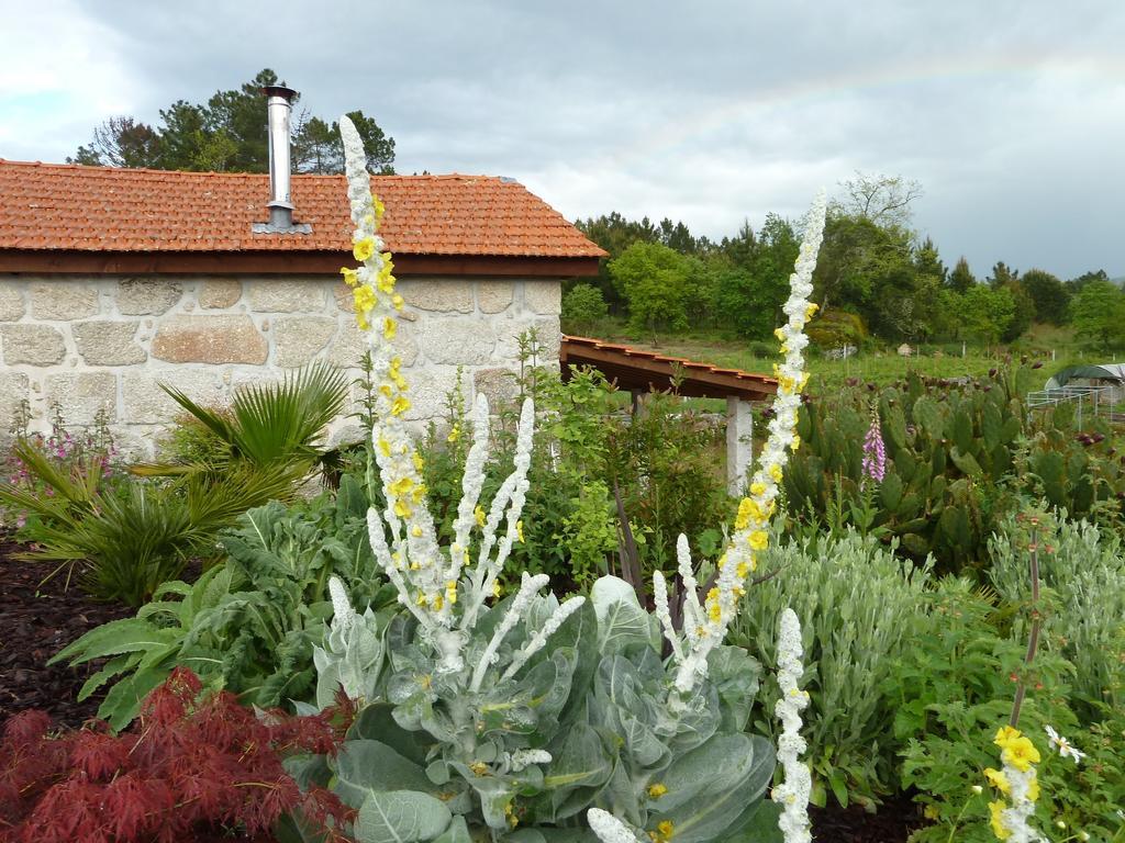 Quinta Do Cobral Villa Oliveira do Hospital Eksteriør bilde
